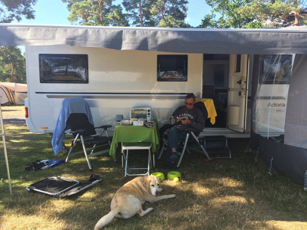 Inspiration til campingtur til - seniorer med hund