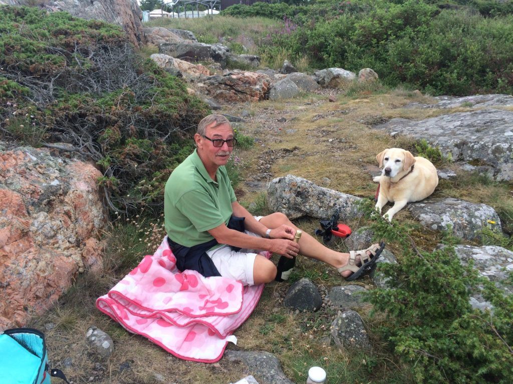solsikke Hane bibel Inspiration til campingtur til Sverige - seniorer med hund